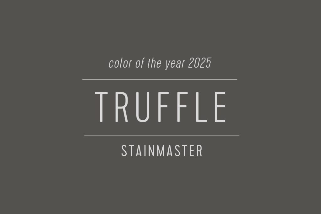 Stainmaster Paint Color of the Year 2025 Truffle