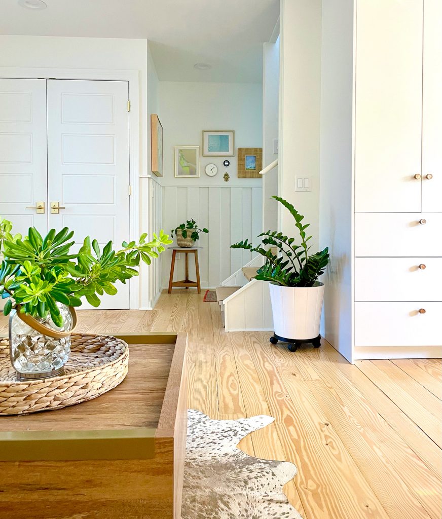 View Towards Stairs And Back Hallway Of House With Lots Of Plants And Frames