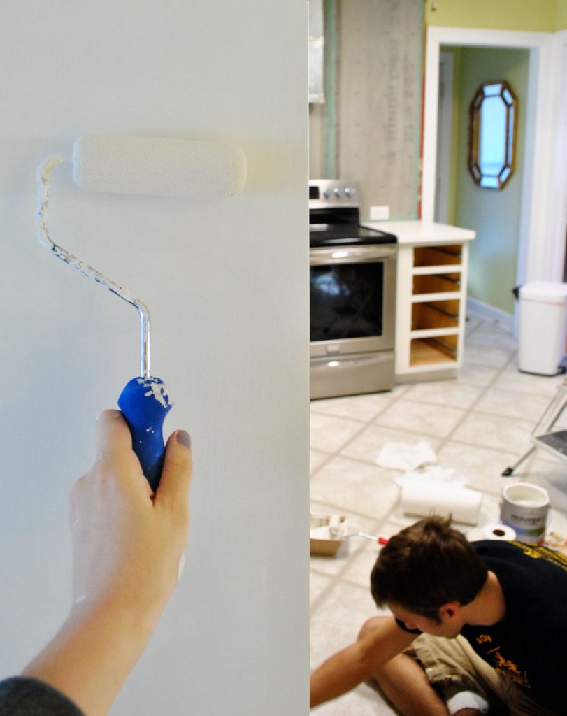 Handing Painting Cabinet Box With Foam Roller